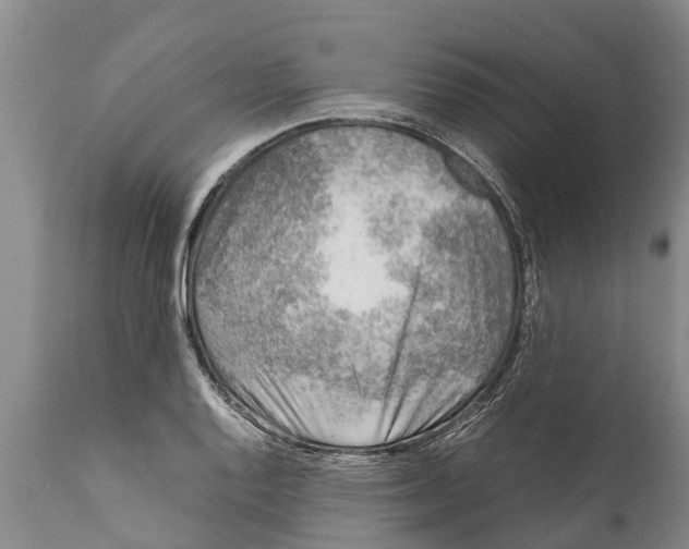 X0000111921128200908171318