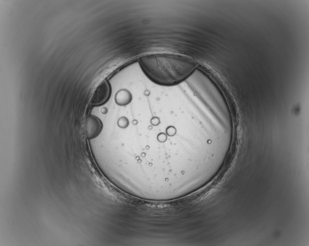 X0000111921129200908171318