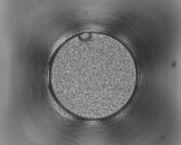 X0000111921130200908171318