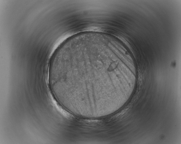 X0000111921131200908171318