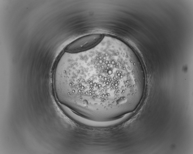 X0000111921133200908171318