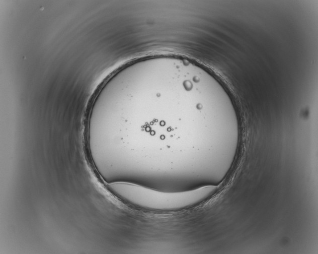 X0000111921134200908171318