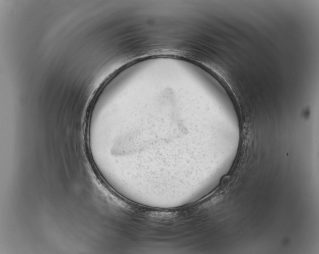 X0000111921135200908171318