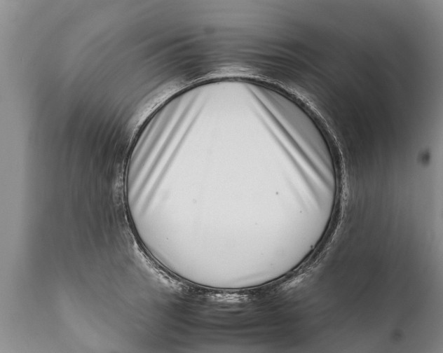 X0000111921137200908171318