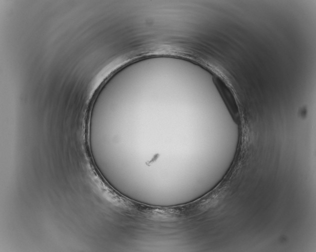 X0000111921138200908171318