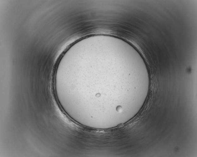 X0000111921139200908171318