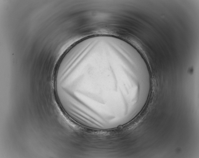 X0000111921141200908171318