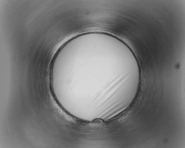 X0000111921142200908171318