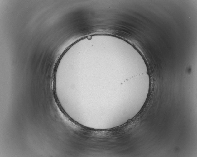 X0000111921143200908171318