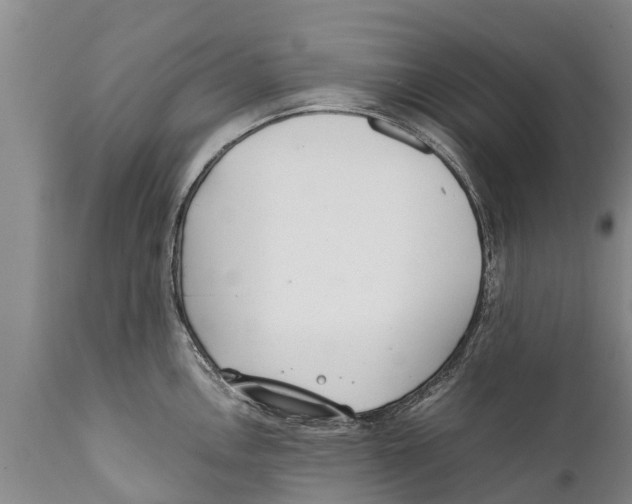 X0000111921146200908171318