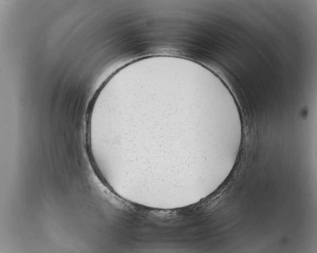 X0000111921147200908171318