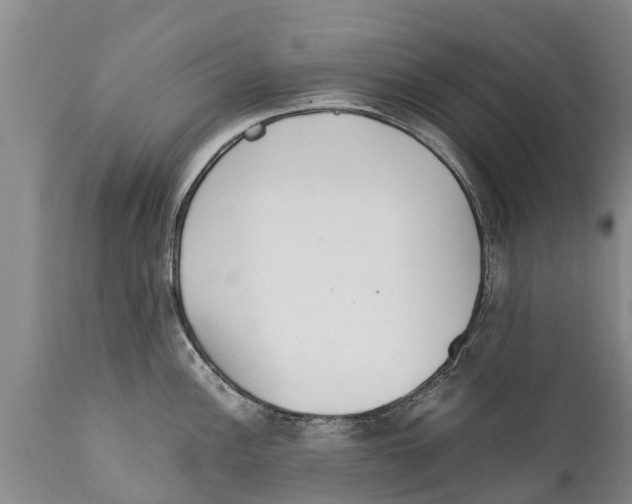 X0000111921148200908171318