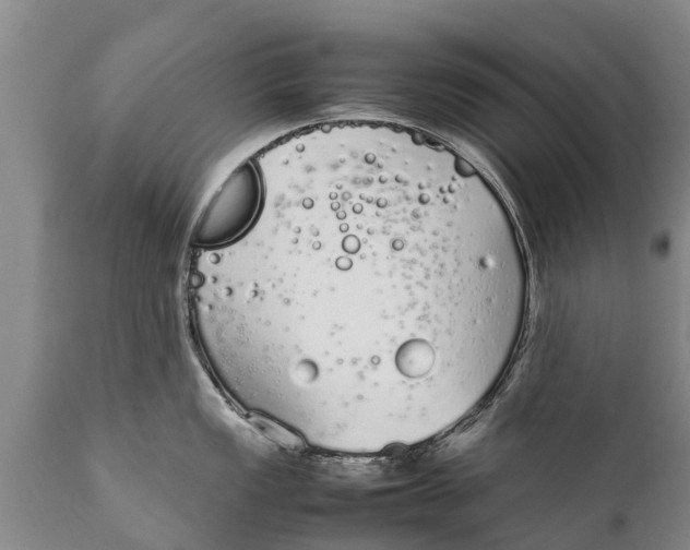 X0000111921149200908171318