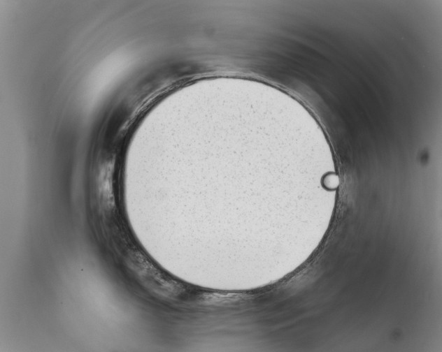 X0000111921150200908171318