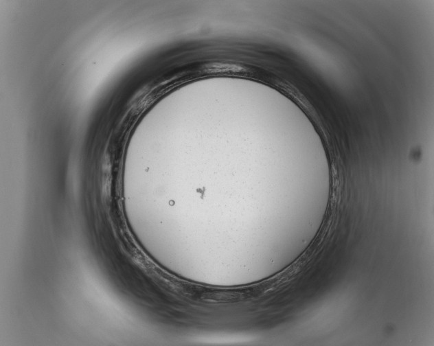 X0000111921151200908171318