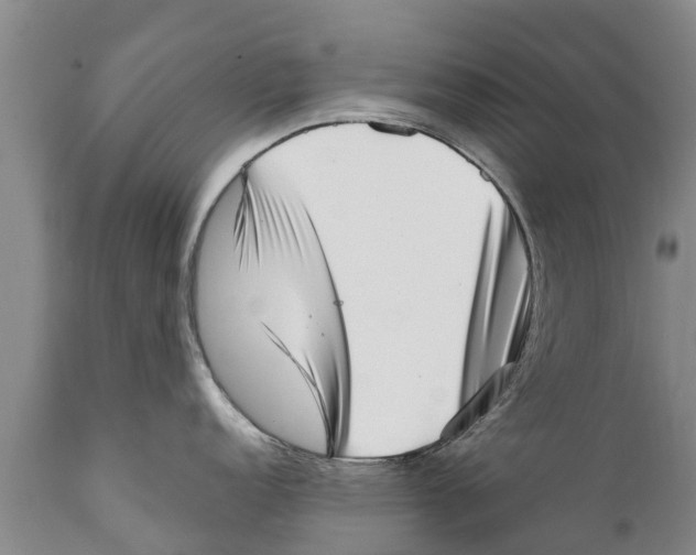 X0000111921152200908171318