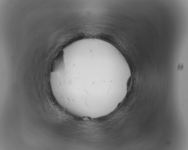 X0000111921153200908171318