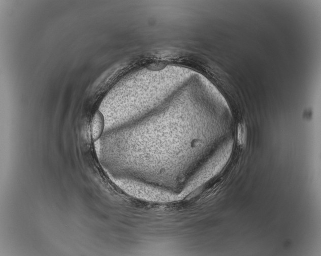 X0000111921155200908171318