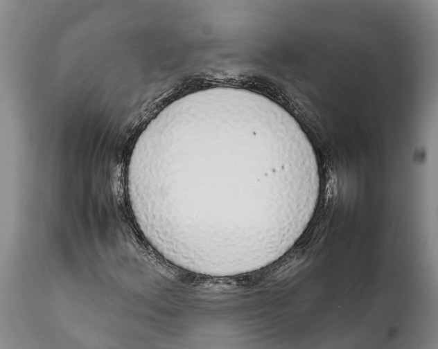 X0000111921156200908171318