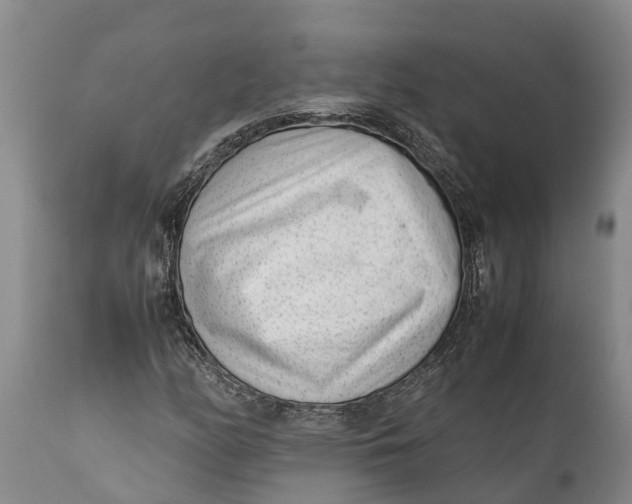 X0000111921158200908171318