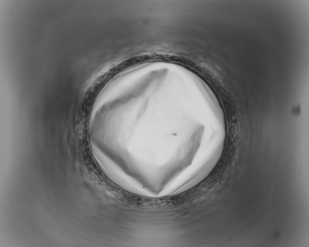 X0000111921159200908171318