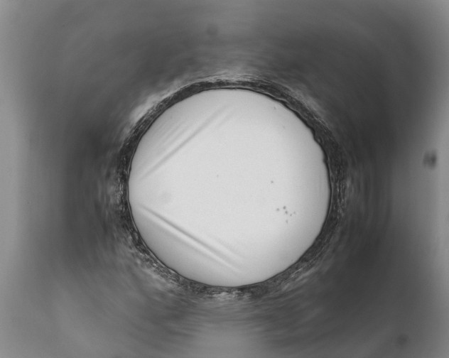 X0000111921160200908171318