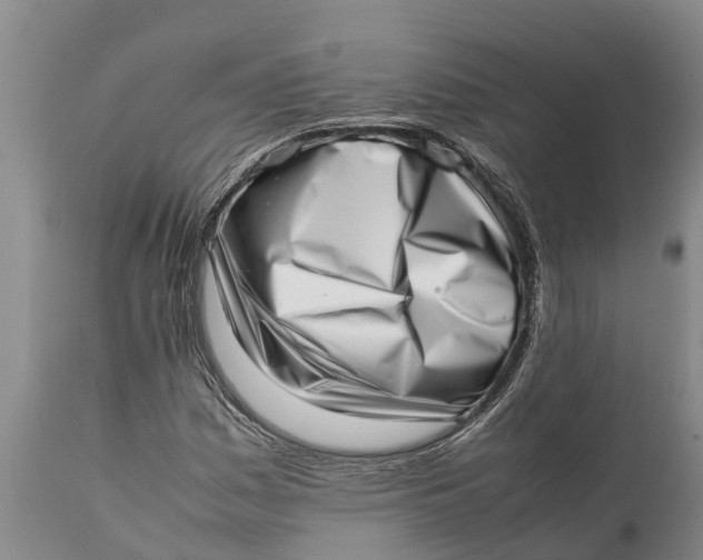 X0000111921161200908171317