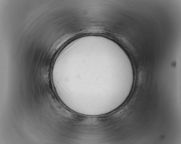 X0000111921162200908171317