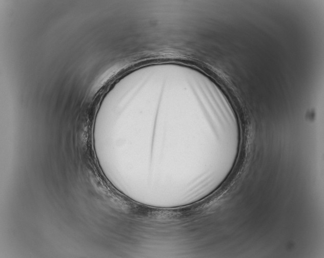 X0000111921163200908171317