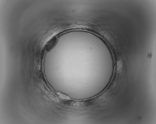 X0000111921165200908171317