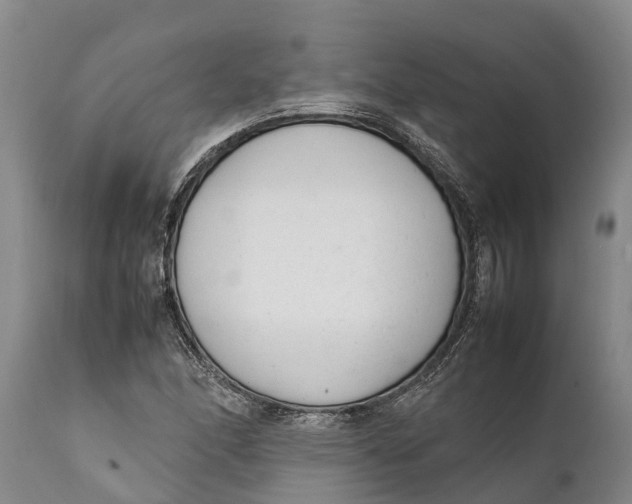 X0000111921166200908171317