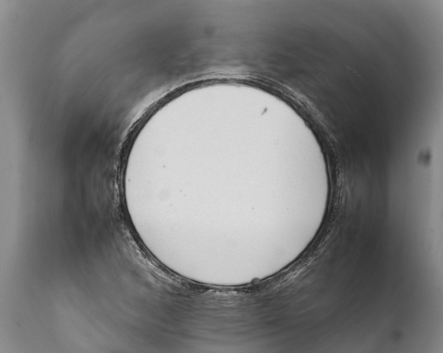 X0000111921168200908171317