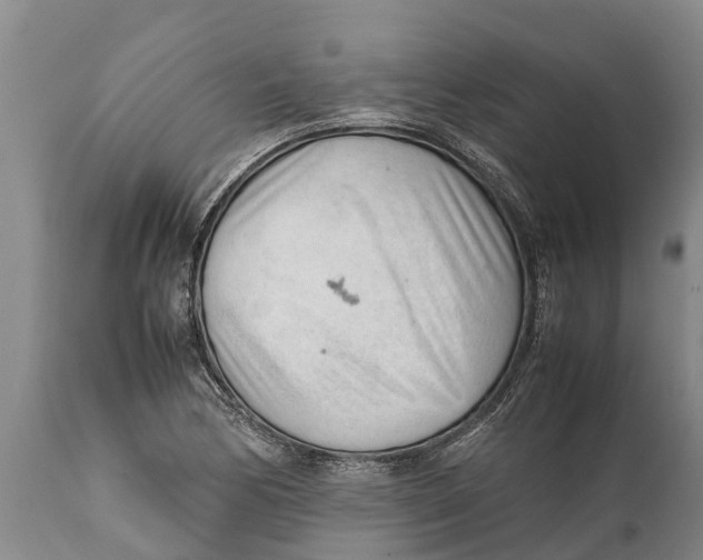 X0000111921170200908171317