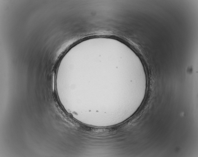 X0000111921171200908171317