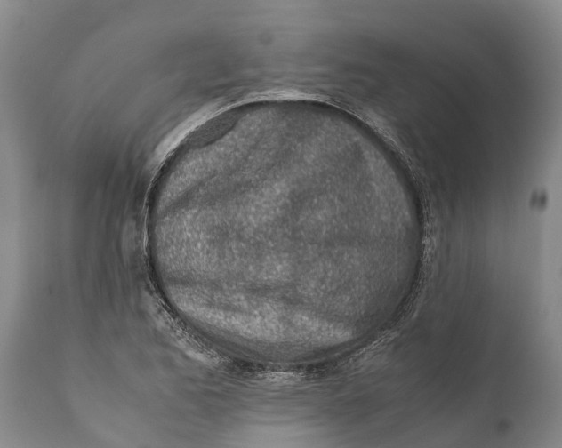 X0000111921173200908171317