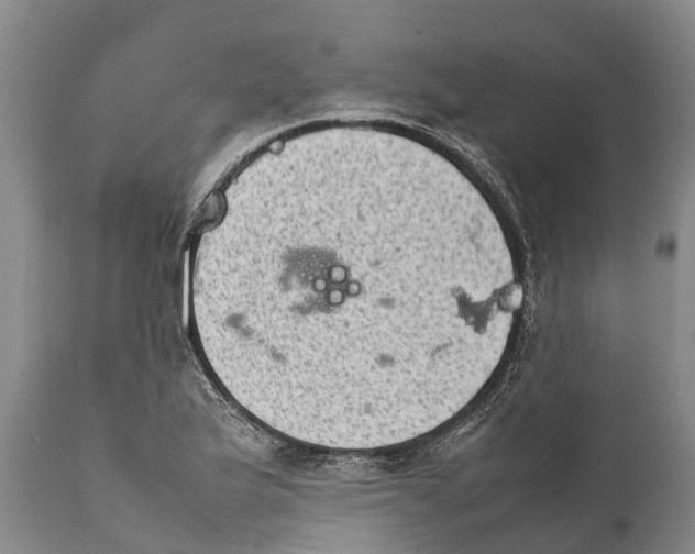 X0000111921175200908171317