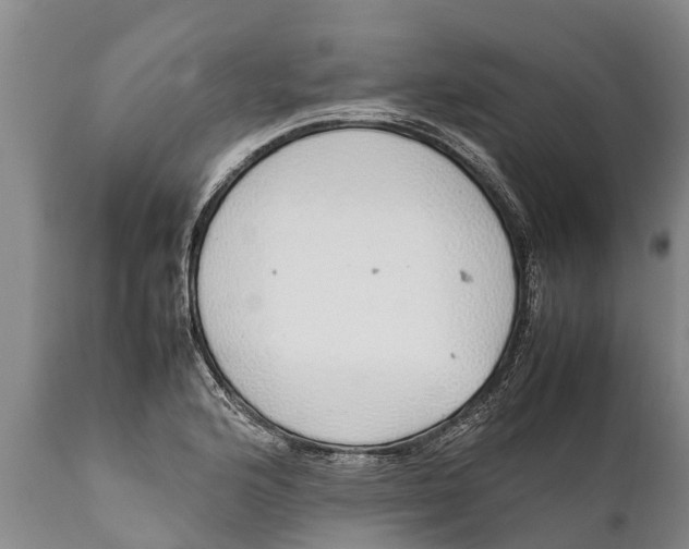 X0000111921176200908171317