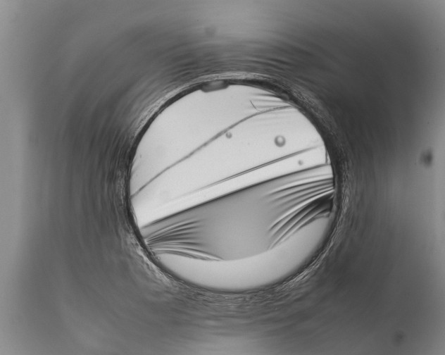 X0000111921177200908171317