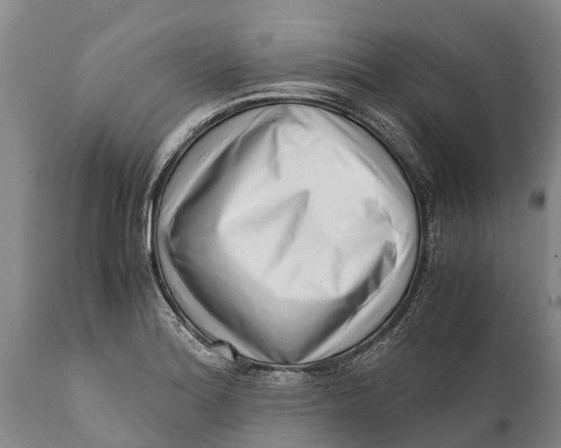 X0000111921180200908171317