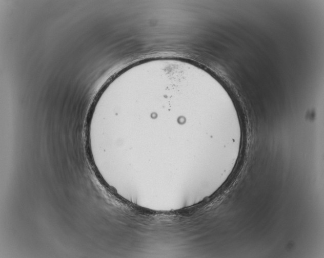 X0000111921181200908171317