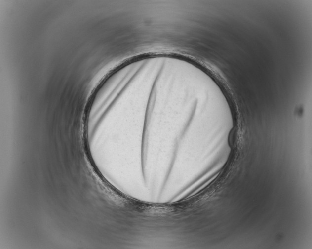 X0000111921183200908171317