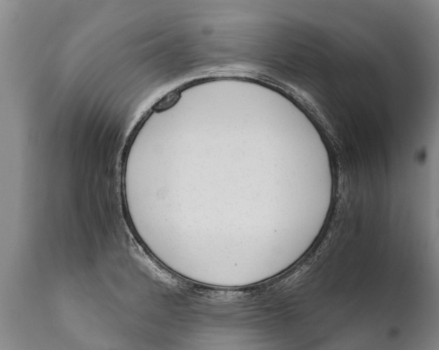 X0000111921184200908171317