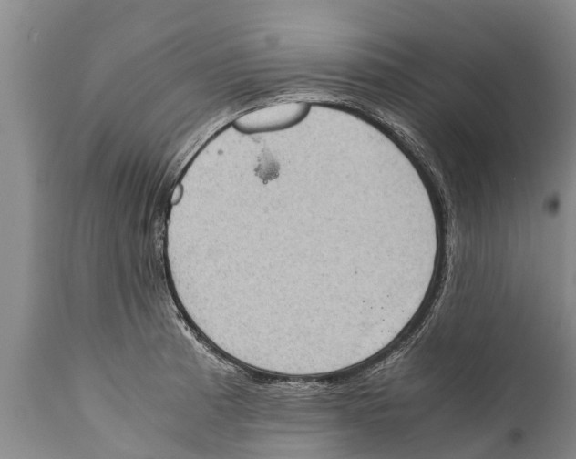 X0000111921185200908171317