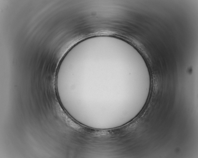 X0000111921186200908171317