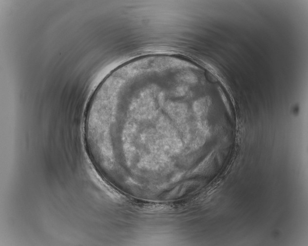 X0000111921187200908171317