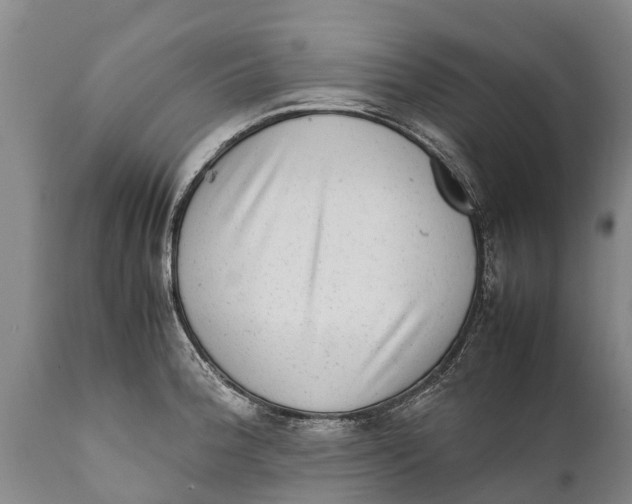 X0000111921188200908171317