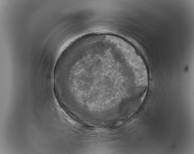 X0000111921191200908171317