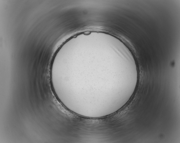 X0000111921192200908171317