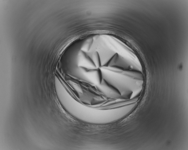 X0000111921193200908171317