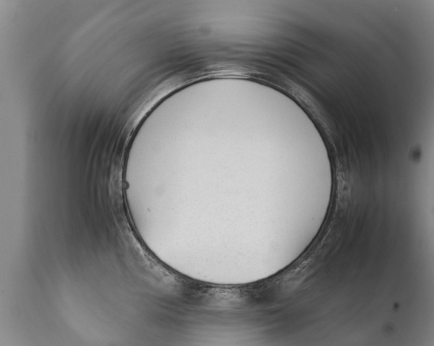 X0000111921194200908171317